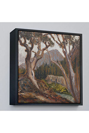 Ahşap Çerçeveli Loch Vale'Den Long Zirvesi, Estes Park, Colorado Tablosu-8349