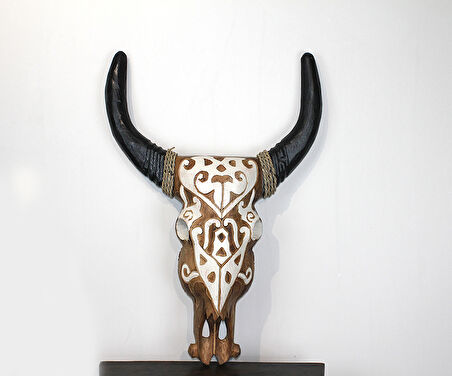 Duvara Asmalı Bufalo Kafası