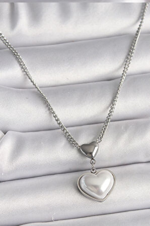 316L Çelik Gümüş Renk Zincir 3D Kalp Model Kadın Kolye