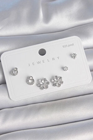 Pirinç Gümüş Renk Zirkon Taşlı Kar Tanesi Model 925 Ayar Gümüş Çivi Kadın Küpe Seti