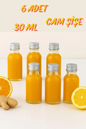 6 Adet Şeffaf Cam Shot Şişesi Sızdırmaz Gümüş Metal Kapaklı Kolonya Koku Süs Çok Amaçlı Şişe 30ml