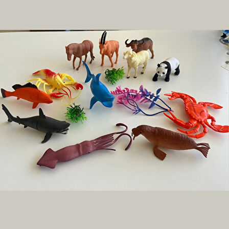 Hayvanlar Alemi Seti 15 Parçalı Full Set Deniz Hayvanları ve Kara Hayvanları