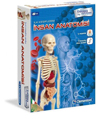 İnsan Anatomisi Bilim ve Oyun