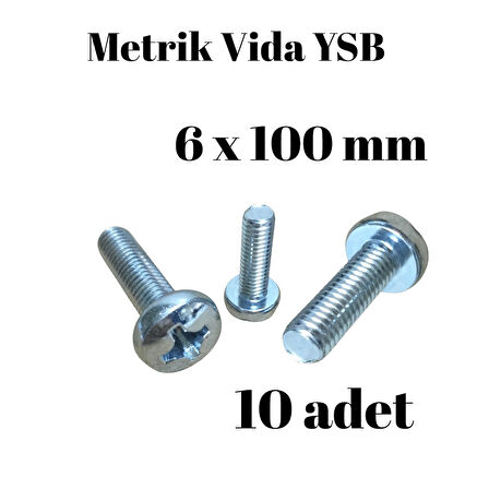 Metrik Vida YSB 6X100  10 Adet Yıldız Silindir Başlı Vida