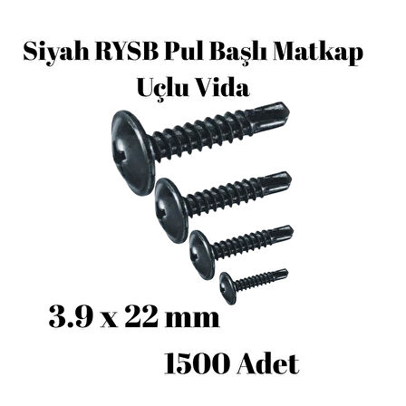 Rysb 3,9x22 mm 1500 Adet Siyah Pul Başlı Matkap Uçlu Vida Otomatik Vida