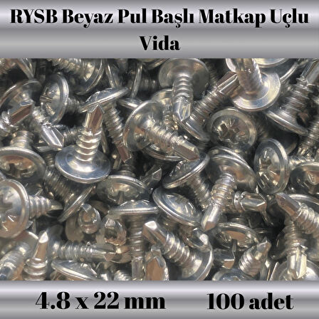 Rysb 4,8x22 mm 100 Adet Beyaz Pul Başlı Matkap Uçlu Vida Otomatik Vida