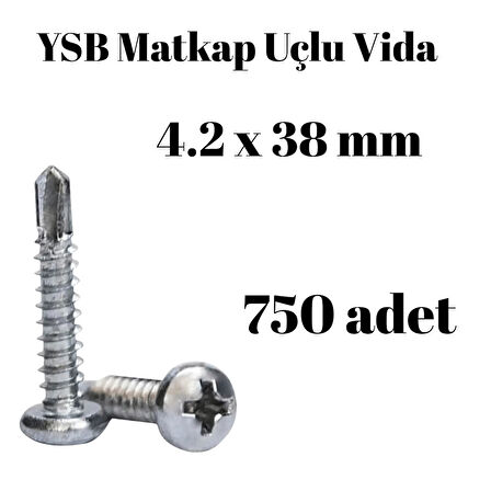 Yıldız Silindir Başlı 4.2x38 YSB Matkap Uçlu Akıllı Vida 750 Adet