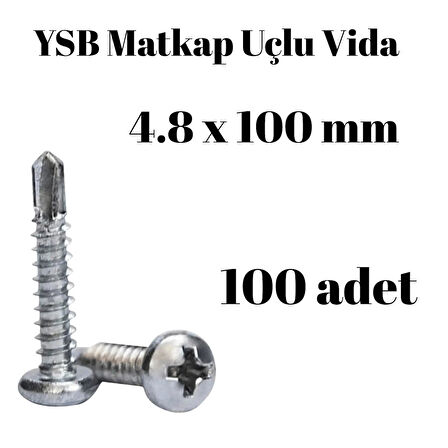 Yıldız Silindir Başlı 4.8x100 YSB Matkap Uçlu Akıllı Vida 100Adet