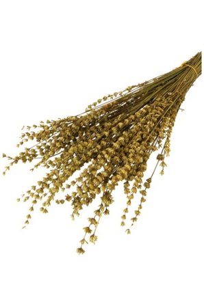 Kuru Çiçek Gerçek Şoklanmış Lavanta Turuncu (100gr)