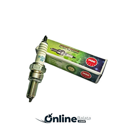 Tvs Raider 125 Buji NGK Hindistan BJ001