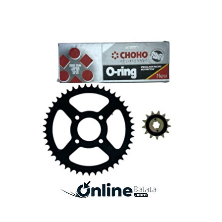 Tvs Raider 125 Zincir Dişli Set Z428