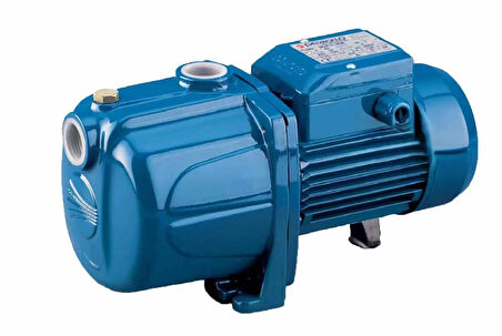 4CPM100E SESİZ 1HP PEDROLLO POMPA