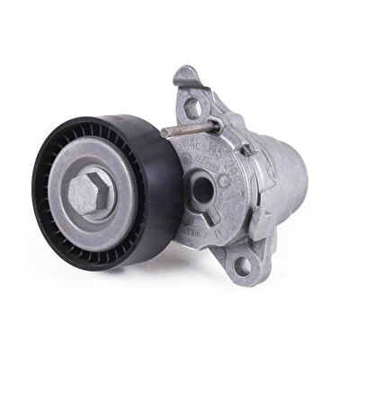 ABA 25505444-ALTERNATOR V KAYISI GERGİ RULMANI BORA 1.6 98 06A903315E