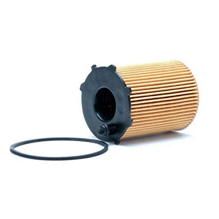 BOSCH 0986TF0094-YAG FILTRESI 1.6 HDI CITROEN C4 05  1109.AY