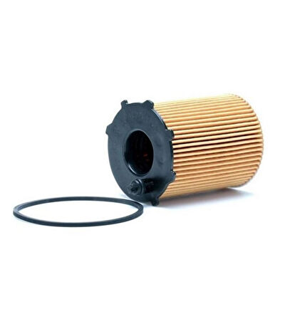 UFI 25.037.00-YAG FILTRESI 1.6 HDI CITROEN BERLINGO 19  1109.AY