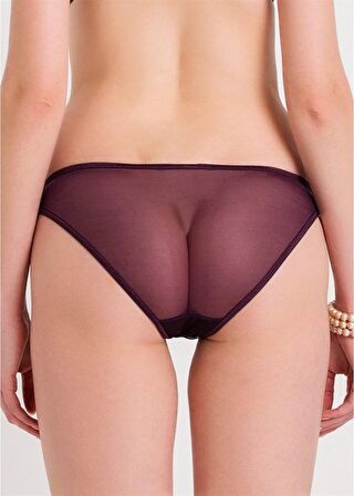 292 - Brode Dantelli Geniş Kenarlı Normal Külot