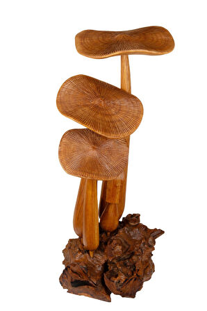 Tek Parça Dekoratif Mantar El Yapımı Ahşap Obje 40 cm x 65 cm