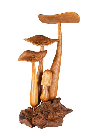 Tek Parça Dekoratif Mantar El Yapımı Ahşap Obje 40 cm x 65 cm