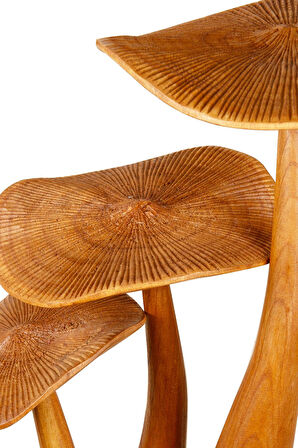 Tek Parça Dekoratif Mantar El Yapımı Ahşap Obje 40 cm x 65 cm