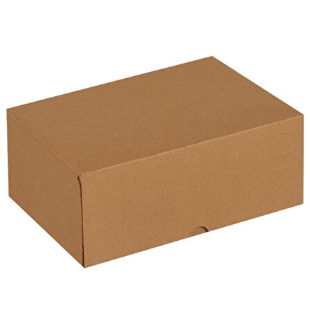 25x20x10-100 Adet Kesimli Karton Kutu - Internet Ve Kargo Kutusu