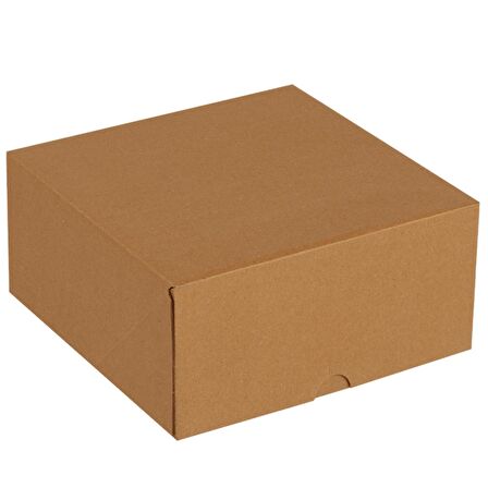 24,5x24,5x11,5-100 Adet Kesimli Karton Kutu - Internet Ve Kargo Kutusu