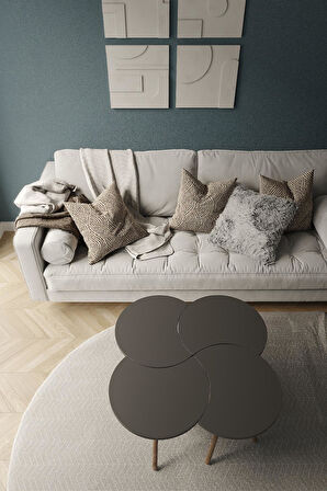 Yonca Form 4'lü Sehpa Takımı | Modern & Doğal Tasarım | Yan ve Orta Sehpa