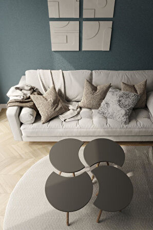 Yonca Form 4'lü Sehpa Takımı | Modern & Doğal Tasarım | Yan ve Orta Sehpa