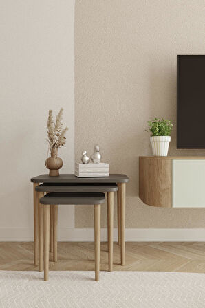 Dikdörtgen Zigon Sehpa 3'lü Set – Ahşap Ayaklı Modern Tasarım
