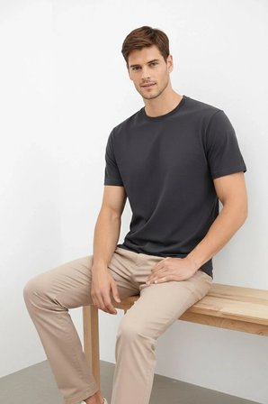Erkek Bisiklet Yaka Yazlık Kısa kol Düz Tişört Regular Kalıp T-shirt - Füme