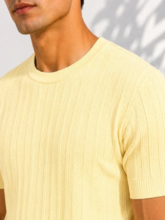 Erkek Bisiklet Yaka Kısa Kollu Esnek Örme Triko T-Shirt 26091