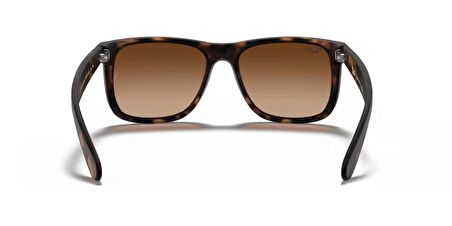 Rayban 4165 710/13 55 erkek