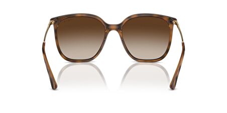 Vogue 0VO5564S 238613 54 kadın