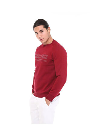 Erkek Sweatshirt 5261