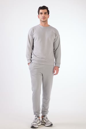 Erkek Regular Fit Bisiklet Yaka Gri Sweatshirt