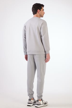 Erkek Regular Fit Bisiklet Yaka Gri Sweatshirt