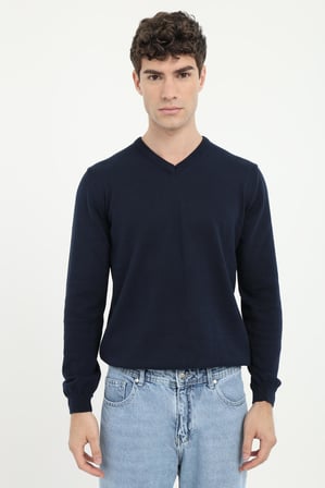 Erkek Regular Fit V Yaka Lacivert Triko