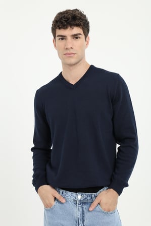 Erkek Regular Fit V Yaka Lacivert Triko