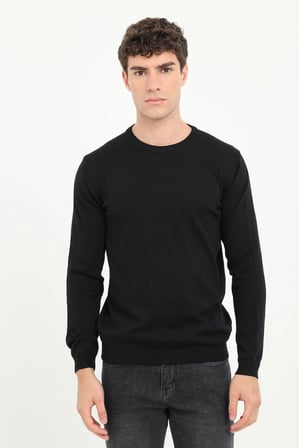Erkek Regular Fit Bisiklet Yaka Siyah Triko