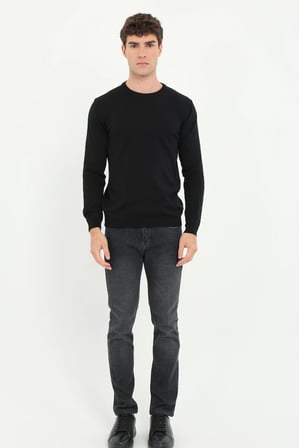 Erkek Regular Fit Bisiklet Yaka Siyah Triko