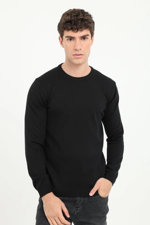 Erkek Regular Fit Bisiklet Yaka Siyah Triko