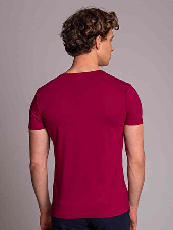 Dufy Bordo Erkek Slim Fit Düz  V Yaka Tshirt - 36397