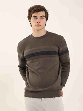 Dufy Haki Erkek Slim Fit Çizgili Bisiklet Yaka Kazak - 90599