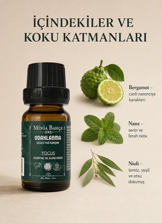 Odaklanma ( Focus ) Uçucu Yağ Karışımı, %100 Saf, 10 ml