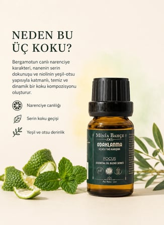 Odaklanma ( Focus ) Uçucu Yağ Karışımı, %100 Saf, 10 ml