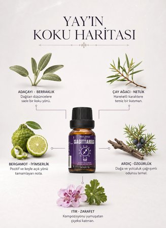 Yay Burcu Uçucu Yağ Karışımı – Adaçayı, Çay Ağacı, Bergamot, Ardıç ve Itır Uçucu Yağları, 10 ml