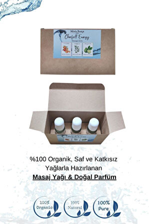 Doğal Roll on, Enerji Seti, Greyfurt, Bergamot, Okaliptus Uçucu Yağı, 10ml x 3