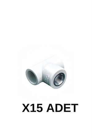 PPRC İç Dişli Te 20 3/4 15 Adet