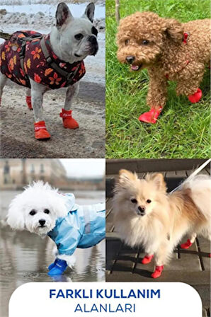 Kedi ve Köpek Pati Ayakkabısı – Silikon Kaymaz Tabanlı, Cırt Cırtlı, Çok Renkli & Farklı Beden Seçenekleri (Stoktan Gönderim)