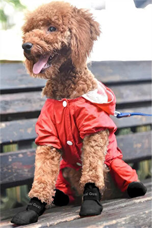 Kedi ve Köpek Pati Ayakkabısı – Silikon Kaymaz Tabanlı, Cırt Cırtlı, Çok Renkli & Farklı Beden Seçenekleri (Stoktan Gönderim)