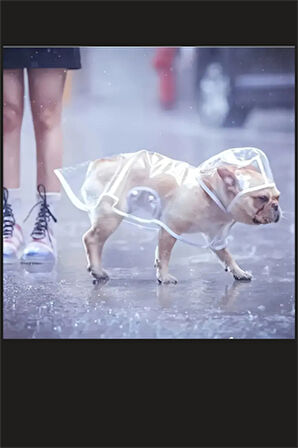 1 Adet-Pomeranian Şeffaf Köpek Yağmurluğu – PVC, Su Geçirmez, Tüm Irklar İçin Uygun